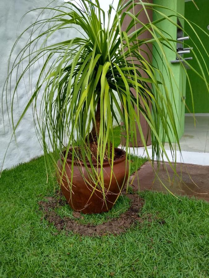 Green House Praia de Pipa Экстерьер фото